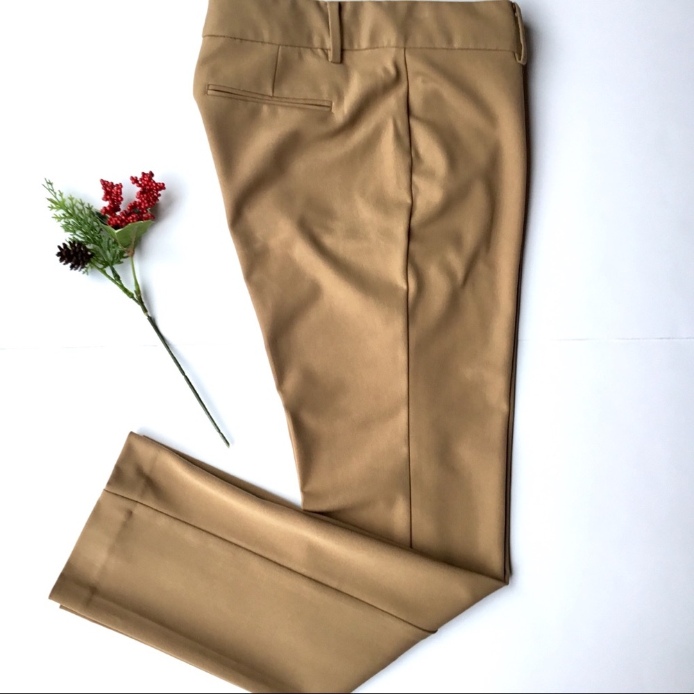 Ann Taylor Beige 8 Petite Trousers